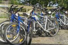 Cycles for hire